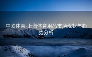 中欧体育-上海体育用品市场现状与趋势分析