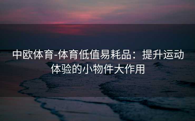 中欧体育-体育低值易耗品：提升运动体验的小物件大作用