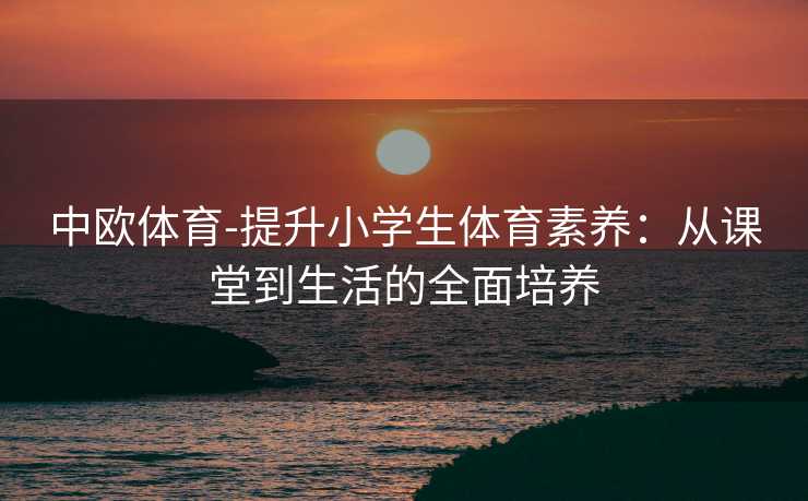 中欧体育-提升小学生体育素养：从课堂到生活的全面培养