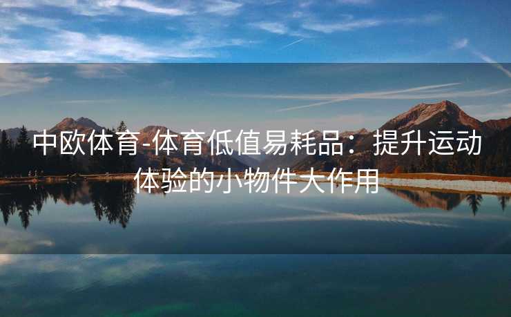 中欧体育-体育低值易耗品：提升运动体验的小物件大作用