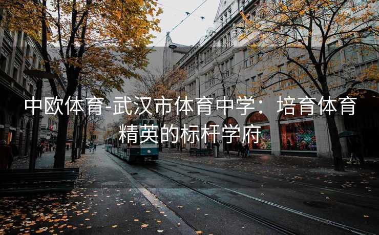 中欧体育-武汉市体育中学：培育体育精英的标杆学府