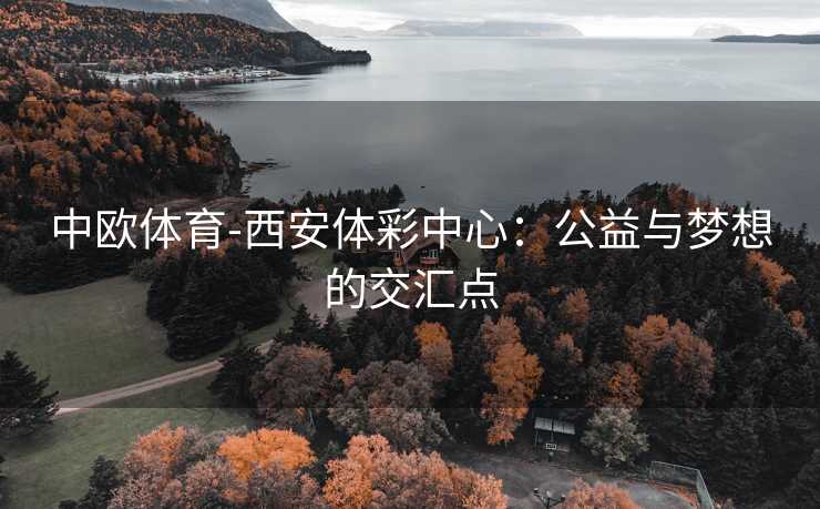 中欧体育-西安体彩中心：公益与梦想的交汇点