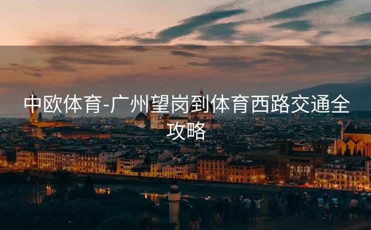 中欧体育-广州望岗到体育西路交通全攻略