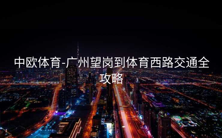 中欧体育-广州望岗到体育西路交通全攻略