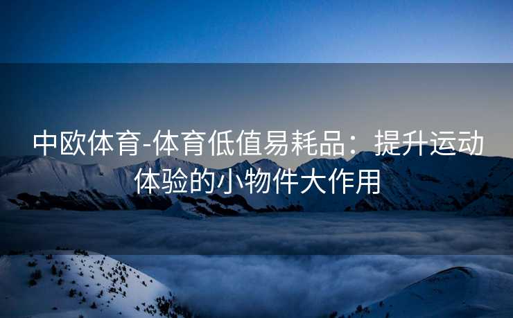 中欧体育-体育低值易耗品：提升运动体验的小物件大作用
