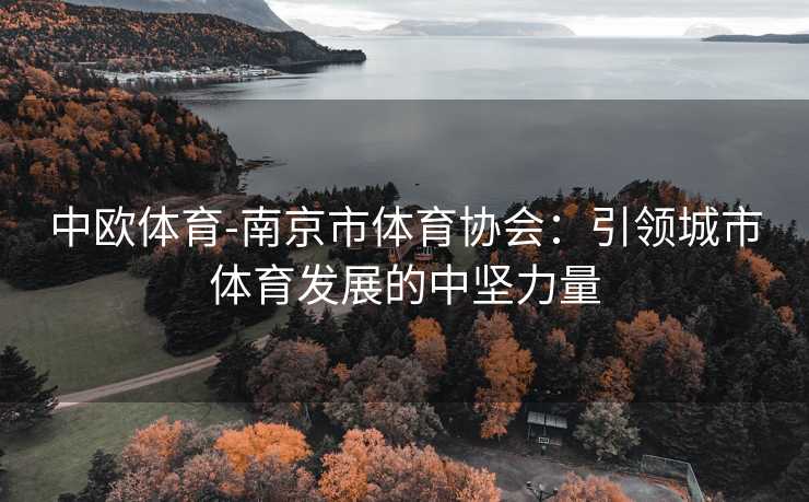 中欧体育-南京市体育协会：引领城市体育发展的中坚力量