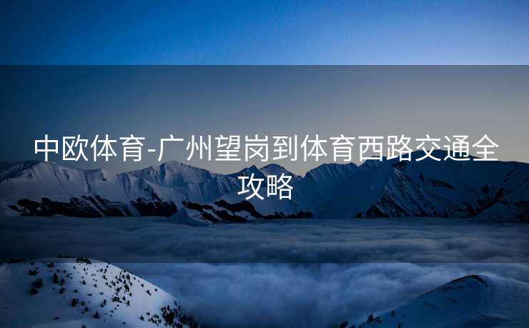 中欧体育-广州望岗到体育西路交通全攻略
