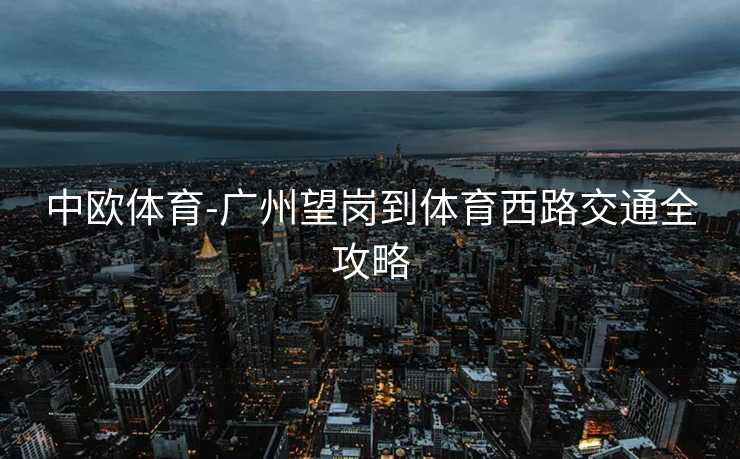 中欧体育-广州望岗到体育西路交通全攻略