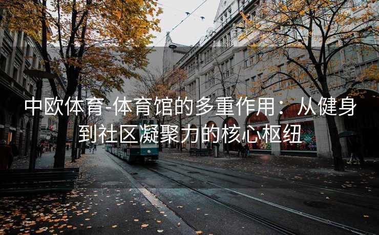 中欧体育-体育馆的多重作用：从健身到社区凝聚力的核心枢纽