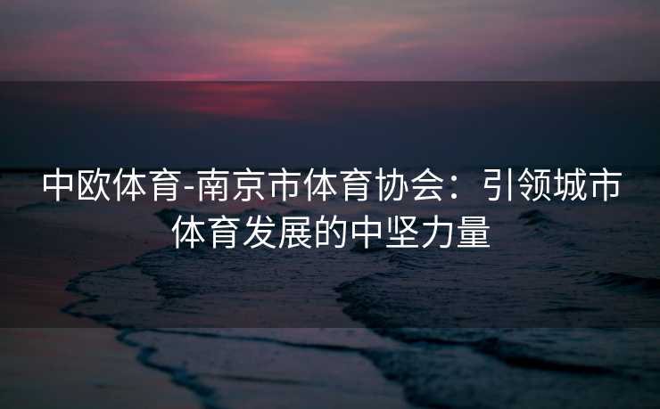 中欧体育-南京市体育协会：引领城市体育发展的中坚力量