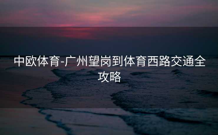 中欧体育-广州望岗到体育西路交通全攻略