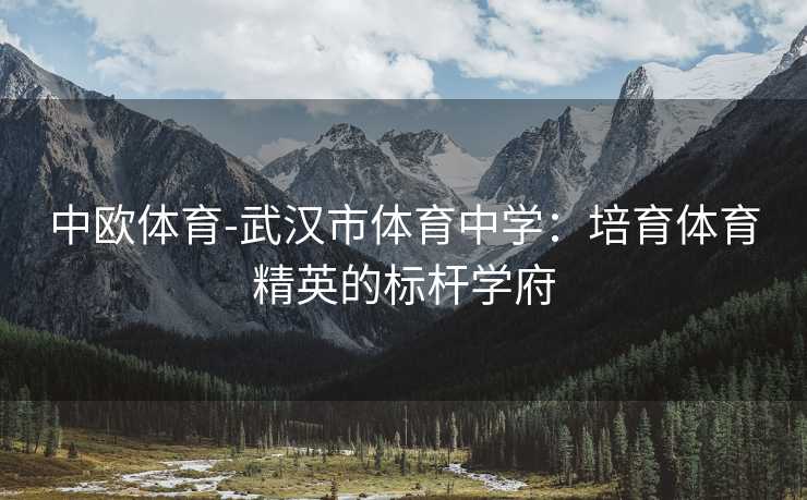 中欧体育-武汉市体育中学：培育体育精英的标杆学府