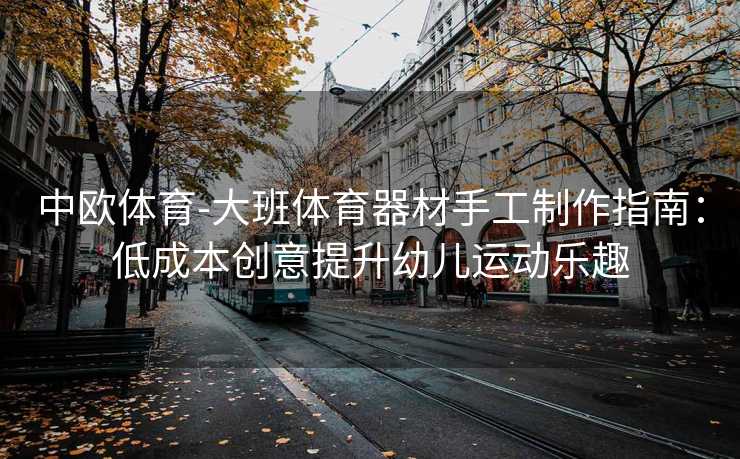 中欧体育-大班体育器材手工制作指南：低成本创意提升幼儿运动乐趣