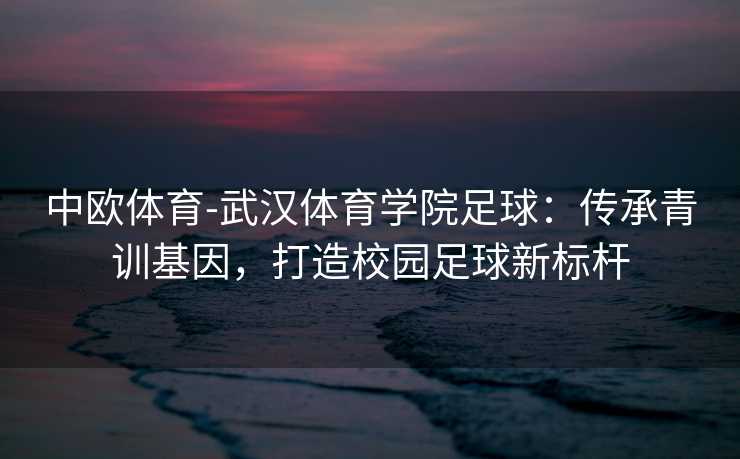 中欧体育-武汉体育学院足球：传承青训基因，打造校园足球新标杆