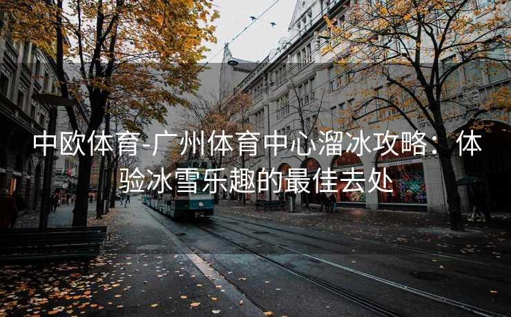 中欧体育-广州体育中心溜冰攻略：体验冰雪乐趣的最佳去处