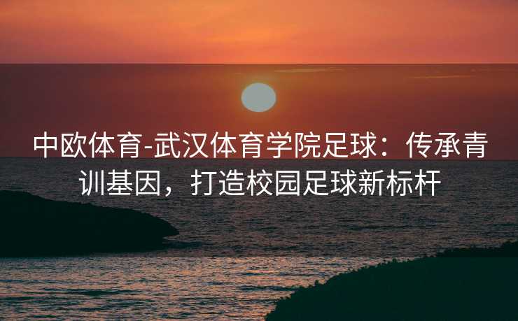 中欧体育-武汉体育学院足球：传承青训基因，打造校园足球新标杆