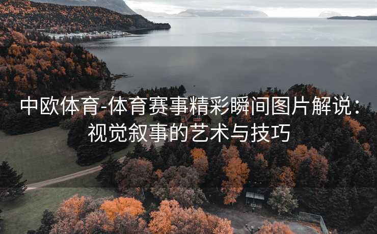 中欧体育-体育赛事精彩瞬间图片解说：视觉叙事的艺术与技巧