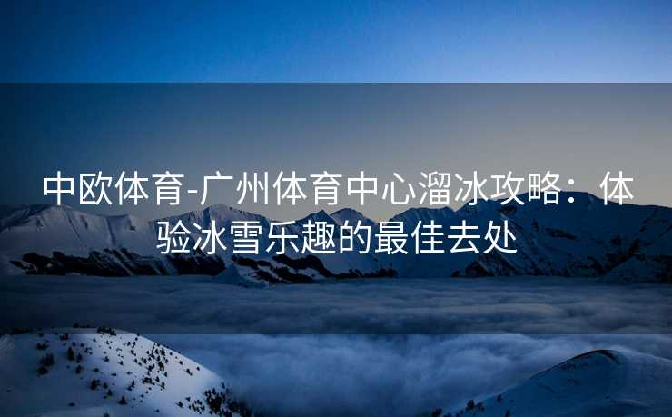 中欧体育-广州体育中心溜冰攻略：体验冰雪乐趣的最佳去处