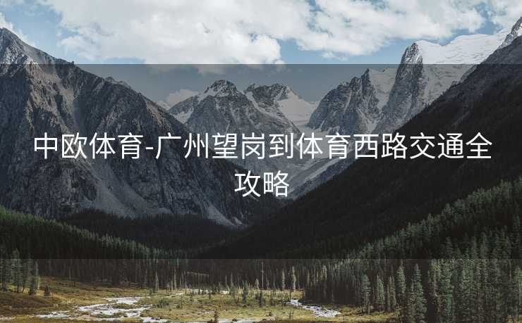 中欧体育-广州望岗到体育西路交通全攻略