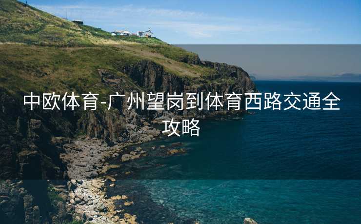 中欧体育-广州望岗到体育西路交通全攻略