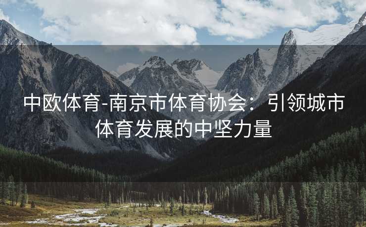 中欧体育-南京市体育协会：引领城市体育发展的中坚力量