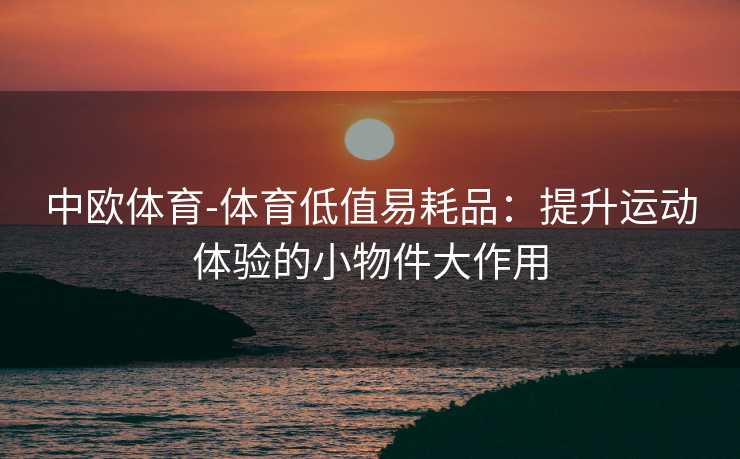 中欧体育-体育低值易耗品：提升运动体验的小物件大作用