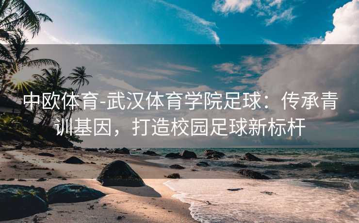 中欧体育-武汉体育学院足球：传承青训基因，打造校园足球新标杆