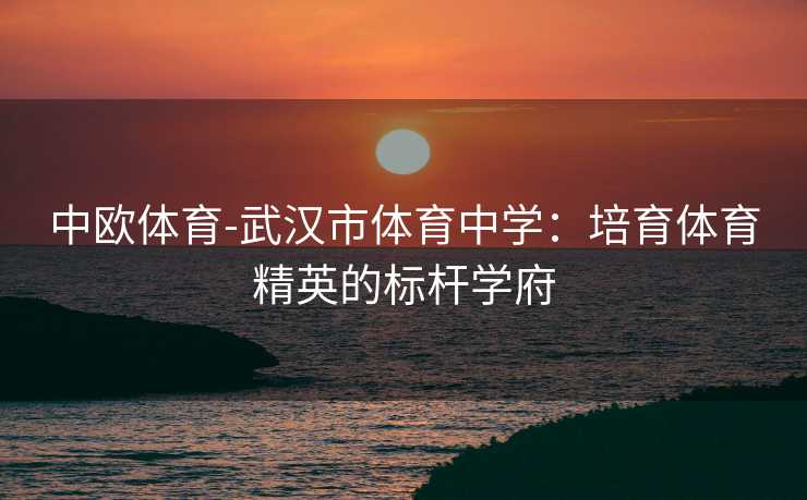 中欧体育-武汉市体育中学：培育体育精英的标杆学府