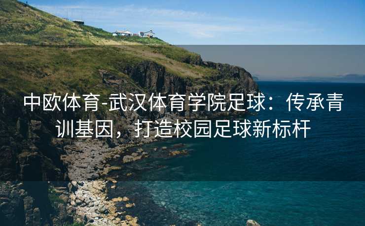 中欧体育-武汉体育学院足球：传承青训基因，打造校园足球新标杆