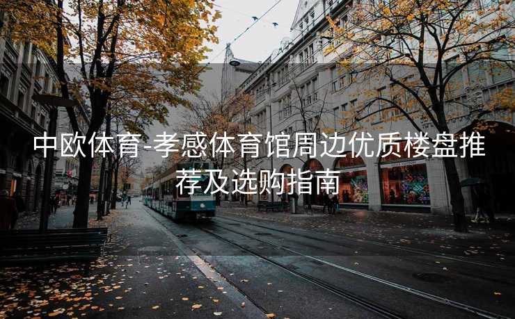 中欧体育-孝感体育馆周边优质楼盘推荐及选购指南