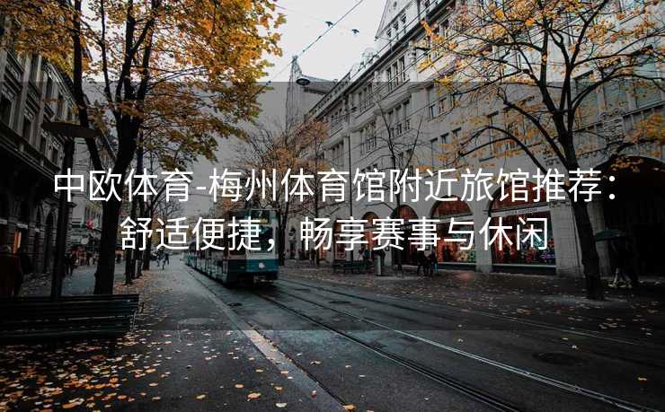 中欧体育-梅州体育馆附近旅馆推荐：舒适便捷，畅享赛事与休闲