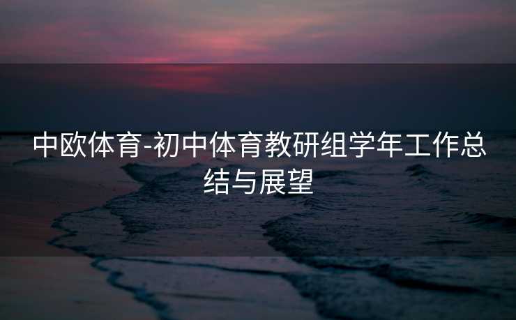 中欧体育-初中体育教研组学年工作总结与展望