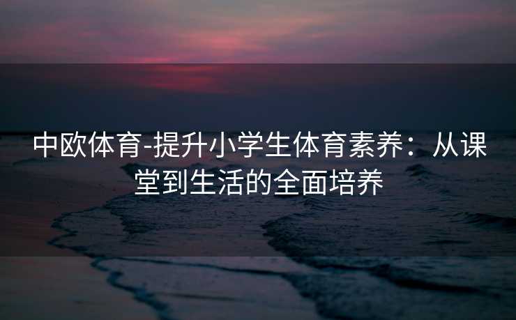 中欧体育-提升小学生体育素养：从课堂到生活的全面培养