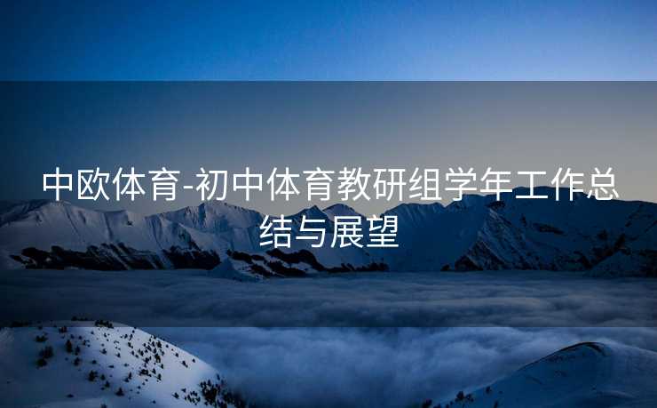 中欧体育-初中体育教研组学年工作总结与展望