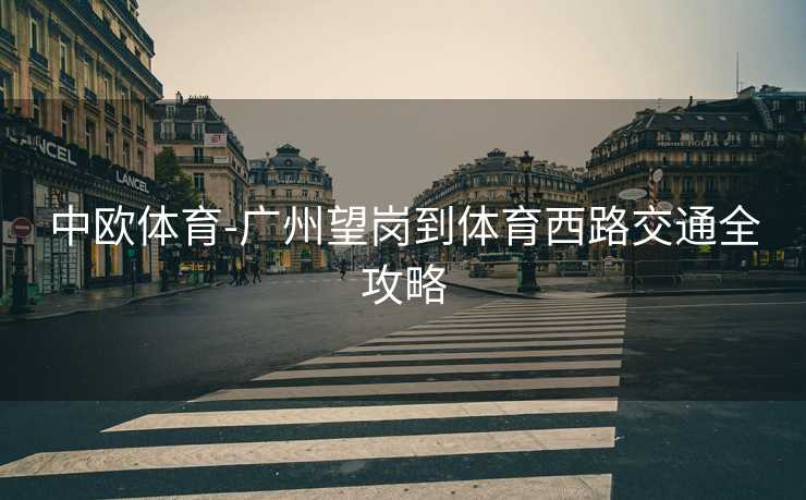 中欧体育-广州望岗到体育西路交通全攻略
