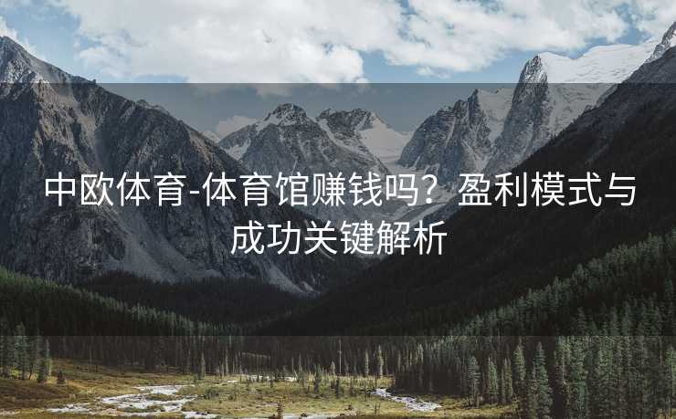 中欧体育-体育馆赚钱吗？盈利模式与成功关键解析