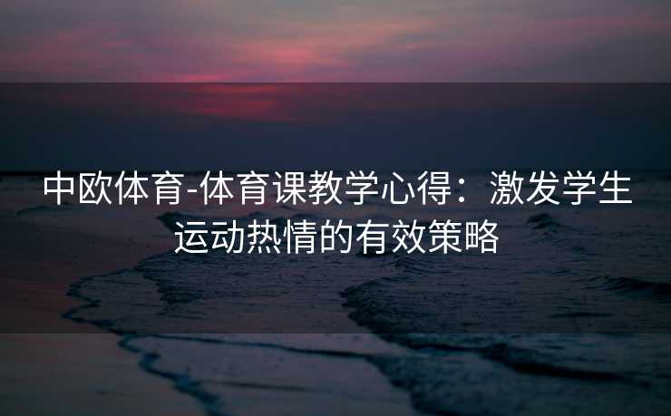中欧体育-体育课教学心得：激发学生运动热情的有效策略