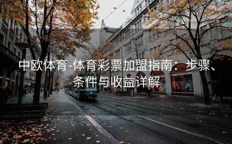 中欧体育-体育彩票加盟指南：步骤、条件与收益详解