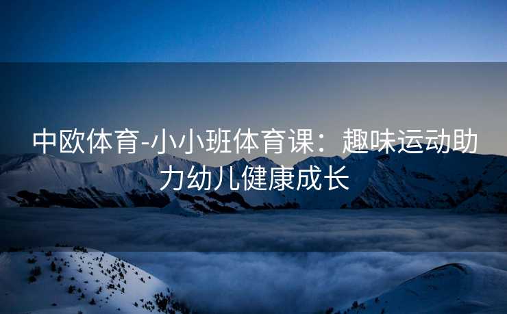 中欧体育-小小班体育课：趣味运动助力幼儿健康成长