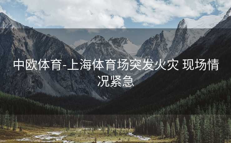 中欧体育-上海体育场突发火灾 现场情况紧急