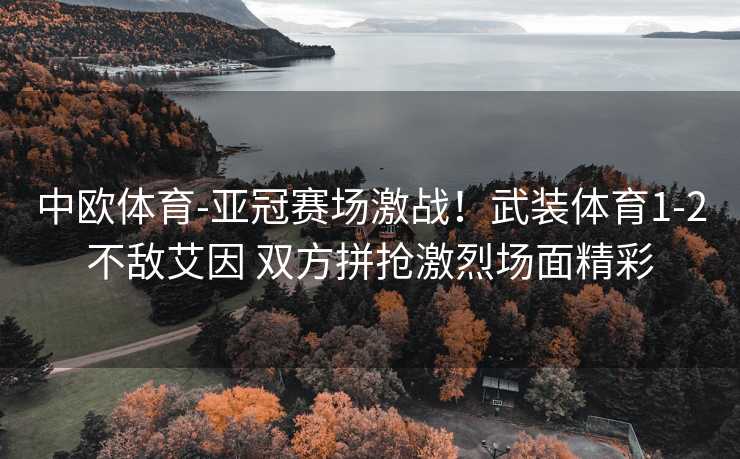 中欧体育-亚冠赛场激战！武装体育1-2不敌艾因 双方拼抢激烈场面精彩