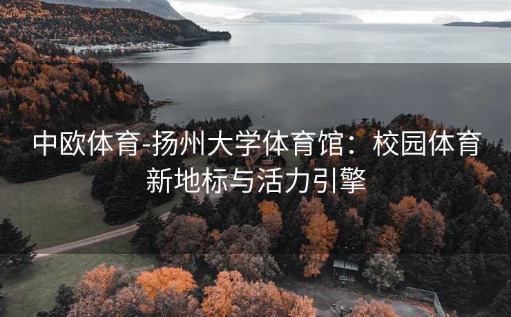 中欧体育-扬州大学体育馆：校园体育新地标与活力引擎