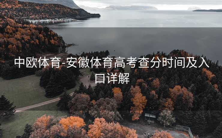 中欧体育-安徽体育高考查分时间及入口详解