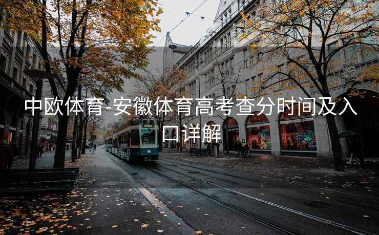 中欧体育-安徽体育高考查分时间及入口详解