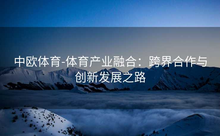 中欧体育-体育产业融合:跨界合作与创新发展之路 中欧体育-体育产业融合:跨界合作与创新发展之路